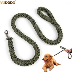 Colliers de chien en laisse lourde en nylon vert tressé de corde d'entraînement de compagnie forte