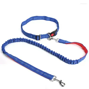 Colliers pour chiens de haute qualité, taille réglable, laisse pour animaux de compagnie, mains libres, produits, harnais, corde de plomb pour Jogging