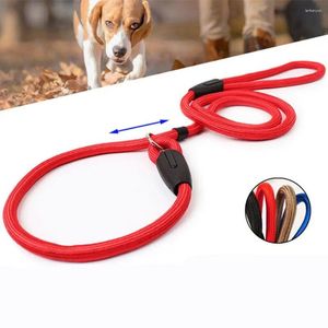 Colliers pour chiens de haute qualité en laisse de corde de corde de corde