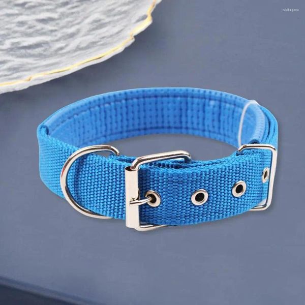 Collares para perros, accesorio para mascotas de alta calidad, Collar de nailon ajustable duradero con anillo de tracción para perros, comodidad para el cuello de larga duración