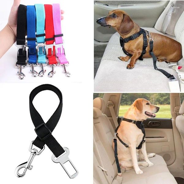 Collares para perros Cinturón de seguridad de coche para mascotas de alta calidad Collar de cinturón de seguridad ajustable Correa de plomo Arnés Accesorios de viaje