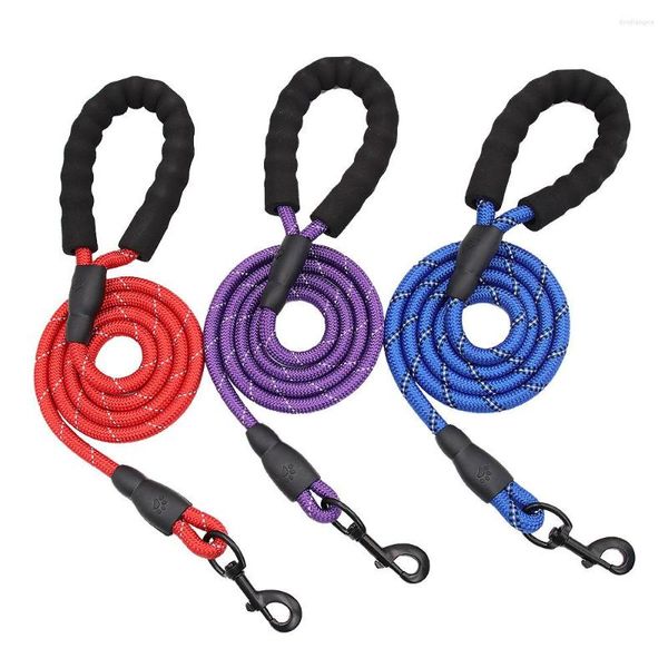 Collares para perros Correa de cuerda de tracción de alta calidad Raya Color sólido Nylon Azul Negro Rojo Productos para mascotas Correas al por mayor
