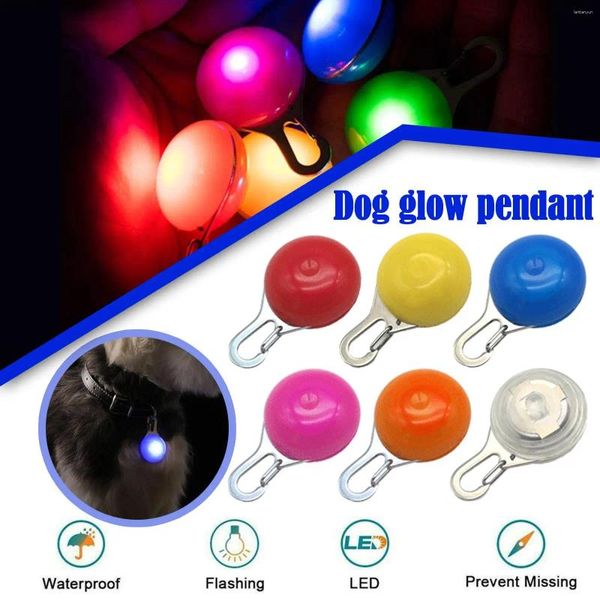 Colliers de chien LED CATS LED PRENDANT LE PENDANT BLINGIN