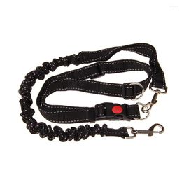 Colliers pour chiens, Jogging pratique en plein air, élastique en Nylon, ceinture de Traction Durable, marche réglable, entraînement de course, laisse mains libres pour animaux de compagnie