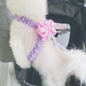 Colliers de chien coréen rose violet arc harnais ensemble de laisse pour petit moyen animal de compagnie fournitures de plein air caniche Yorkshrie chiot corde de Traction