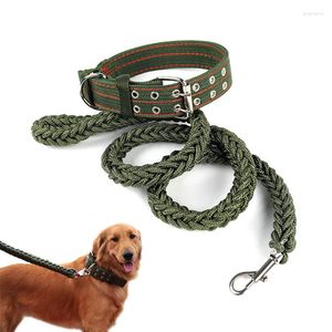 Halsbanden L/XL Supersterke grove nylon riem Legergroen canvas Dubbele rij verstelbare halsband voor middelgrote Pitbull