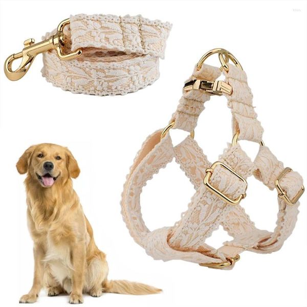 Collares para perros, conjunto de Collar de encaje, correa ajustable para perros pequeños, medianos y grandes, accesorio personalizado para mascotas, arnés de traje grueso