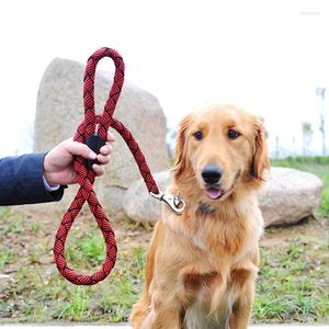 Colliers pour chiens grand harnais de laisse en nylon épaissi grosse laisse chaîne vicieuse de haute qualité pour chiens 120cm animal de compagnie