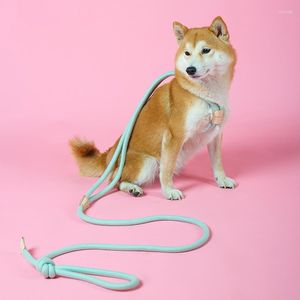 Colliers pour chiens grande corde réfléchissante laisse longue laisse d'entraînement ligne de suivi chiot robuste pour chiens de taille moyenne