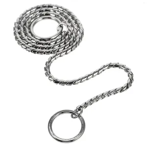 Colliers de chien chaîne de plomb en métal chiot leader laisse de marche collier d'alimentation