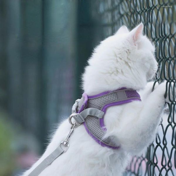 Collares para perros Correa de plomo Gato personalizado Venta ajustable Arnés protector Lindo gatito Accesorios Ropa Para Gatos Suministros para mascotas