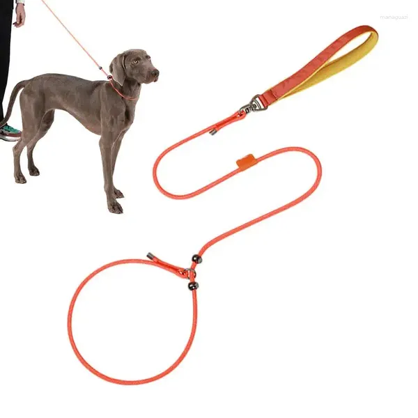 Collares para perros, correas para caminar, cuerda para mascotas, diseño de doble límite, herramienta de adiestramiento al aire libre, suministros para perros pequeños, medianos y grandes