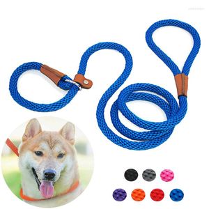 Colliers pour chiens Laisse Laisses en corde de 6 pi Matériau en polyester durable à haute résistance Doux résistant à l'usure Conception d'anneau de plomb facile à enfiler