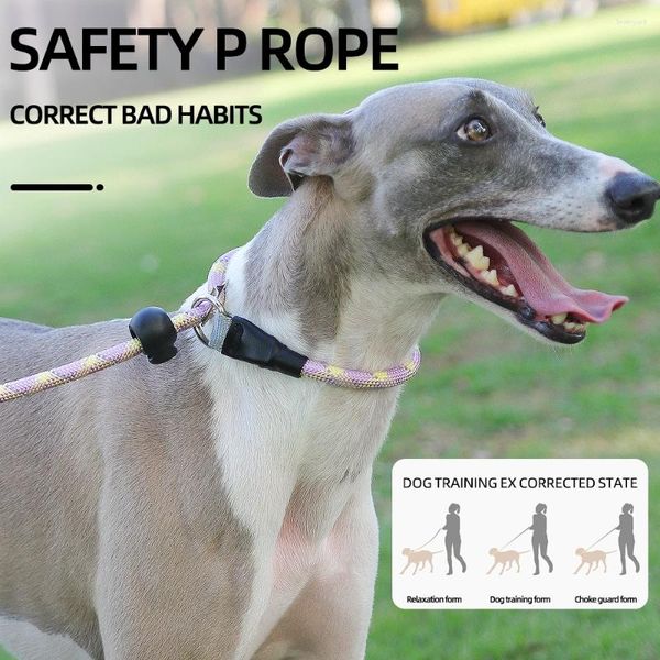 Collares de perros Correo para Slip Snap Hook Rope No Pull Training Leashes Dogs Medium Dogs Fuerte Fuerte Fuerte Trabajado suave