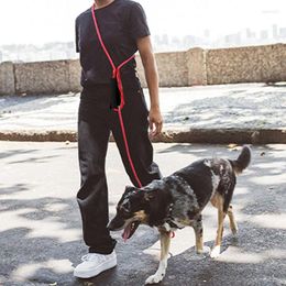 Collares de perros Correo de correa perros libres de 3m correa impermeable de largo para caminar cadena de mascotas de doble cabeza reflectante