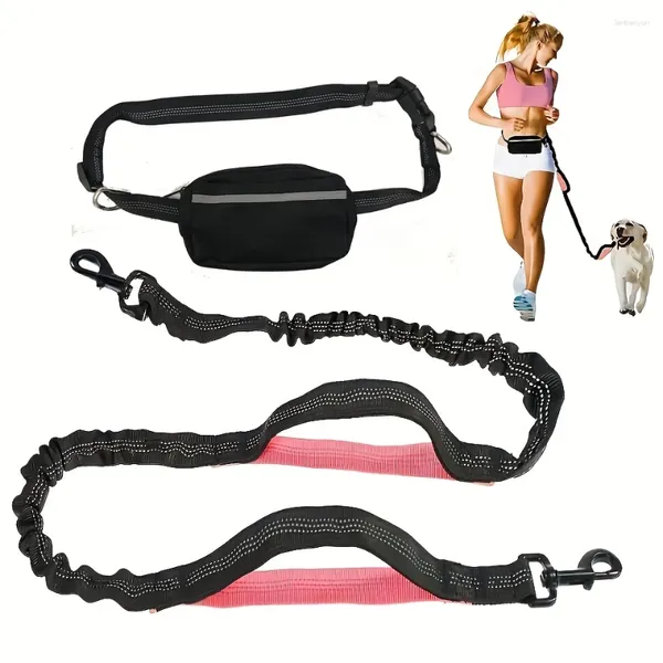 Collares de perros Correa con manos libres con una bolsa de cintura Mantener artículos Arnés para pequeñas razas de perros Coloque Collar Accesorios de nylon personalizados