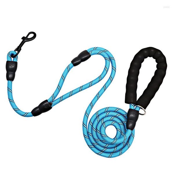 Correa para collares para perros, resistente, 2 asas, asas acolchadas suaves, cómoda correa reflectante para Entrenamiento de mascotas, Collar grande