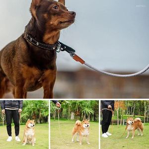 Collares de perros Correo de tracción ajustable de servicio pesado Rope |Plomo para caminar de cuero con un mango cómodo protector para