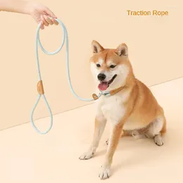 Collares para perros Correas para perros Arneses pequeños medianos grandes Cachorro Durable Pitbull Pet Lead Blast Traction Rope