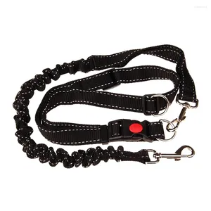 Colliers de chien laisse en nylon rétractable mains libres harnais de chiot ceinture de taille élastique avec boucle rotative pour le jogging marche canicross