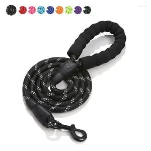Colliers de chien Leash Pet Products Réflexion Round Rope Nylon Toven Traction Explosion Immasing Running