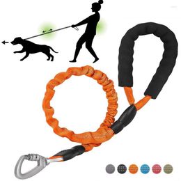 Correa para collares para perros, cuerda de nailon elástica reflectante con mango acolchado, arnés de seguridad para caminar, Collar líder para perros pequeños, medianos y grandes