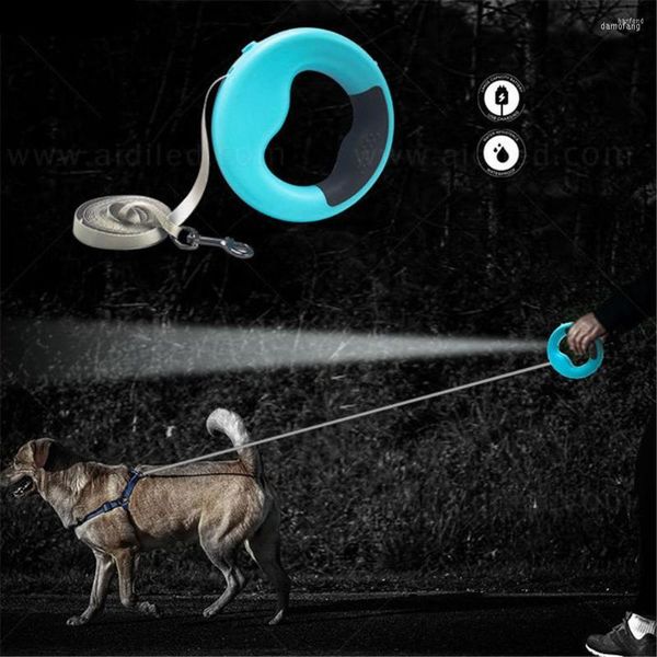 Collares para perros, correa, pulsera retráctil, carga USB, cuerda de tracción duradera con luz LED, suministros para mascotas para caminar de noche al aire libre