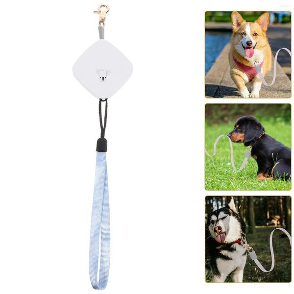 Colliers de chien laisse corde de Traction rétractable Mini chiot leader ceinture d'alimentation de formation pour animaux de compagnie pour