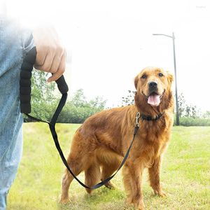 Colliers pour chiens laisse corde poignée éponge confortable ceinture de sécurité pour animaux de compagnie longe d'entraînement en plein air petits moyens grands chiens accessoires