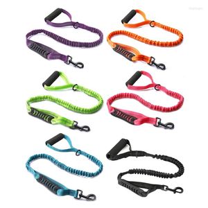 Colliers pour chiens laisse glisser laisse et crochet corde tressée 6.5ft longue taille mains libres animal de compagnie fort entraînement marche