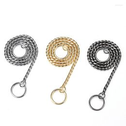 Colliers pour chiens Laisse Serpent Chaîne P-Chain Collier Anti-rouille Métal Pet Lisse Os