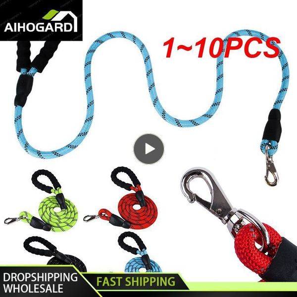 Dog Collars Leashes 1 ~ 10 pièces laisse de harnais de chien en nylon pour chiens de taille moyenne conduit formation pour animaux de compagnie marche sécurité escalade chien laisses corde 230911