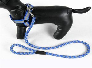 Colliers de chien laisse 1 pc Leash Pet Puppy Corde Chaîne de marche Traction tressée