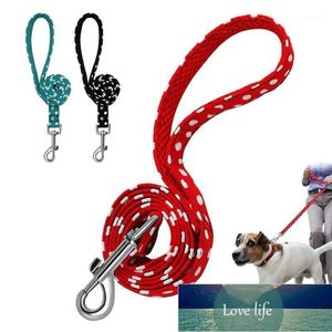 Dog Collars Riemen 120 cm Wandelriem voor kleine Medium Honden Katten Zachte Nylon Polka Dot Pet Lood Pitbull Outdoor Running Leash1