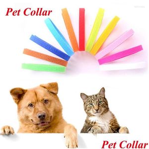 Halsbanden Honden Colorf Klassiek Eenvoudig Puppy Kitten Identificatie Halsband Whel Id Bands Dierbenodigdheden Drop Delivery Ho Dhbql