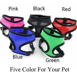 Dog Collars Riemen 2021 Pet Harnas 5 Kleur 4 Size Groothandel voor XS-L Rood Groen Blauw Zwart Roze China