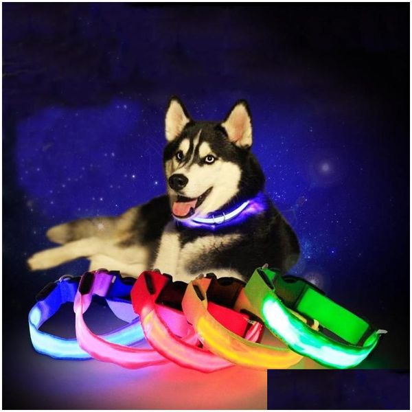 Colliers Pour Chiens Laisses 4 Couleurs Chat Pet Colorf Lumière Clignotant De Sécurité Collier Réglable Couleur Unie Led Réfléchissant Antilost Dh0272 Dro Dhqv4