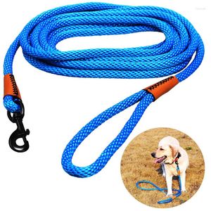 Colliers de chien laisses 5M Super Long en Nylon pour animaux de compagnie en plein air chiens laisse corde formation marche pour petit grand
