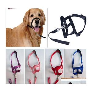 Hondenkragen ontleende verstelbare creatieve halter training hoofdkraag zachte leider harnas nylon breakaway leiband leash lead no pl bite dr dhku9