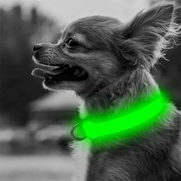 Collares para perros Correas Collar LED ajustable Resplandeciente Antipérdida Seguridad nocturna Collar luminoso intermitente para mascotas para perros pequeños, medianos y grandes Gato 231009