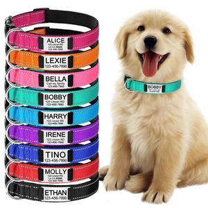 Coleiras de cachorro trelas ajustável colar de nylon reflexivo personalizado nome gravado etiqueta de identificação personalizado brilho flash grande unisex 231117