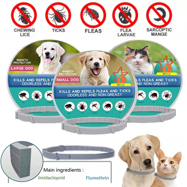 Colliers pour chiens Laisses Anti Puces Et Tiques Chats Collier Pet 8 Mois Protection Rétractable Pour Chiot Chat Grands Chiens Accessoires 230617