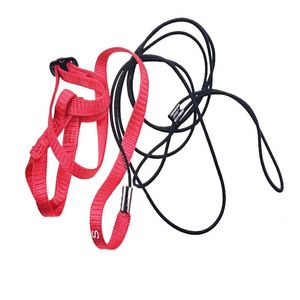 Collares para perros Correas Arnés para pájaros Correa de nailon ajustable para loros para actividades al aire libre Entrenamiento Oriental Bluebonnet Cacatúa Periquito