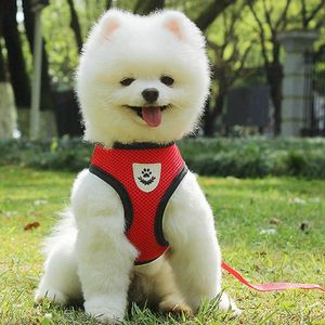 Hondenkragen ontleen met felgekleurde 1 set nuttig voorkomen breekvrije puppy harnas lichtgewicht multifunctioneel voor Summerdog