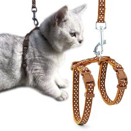Halsbanden Riemen Kattenhalsband Harnas Lijn Verstelbaar Nylon Huisdiertractie Kitten Halter Katten Producten Reflecterende riem 230921