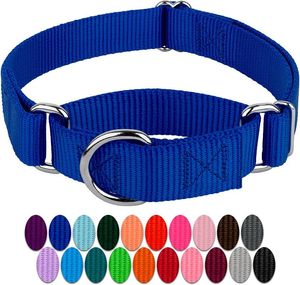 Colliers de chien laisses collier boucle réglable sécurité Nylon réfléchissant animal de compagnie chiot pour petits chiens moyens Pitbull Beagle