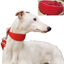 Colliers pour chiens Laisses Collier pour animaux de compagnie en peau de vache Collier réglable durable pour petits chiens moyens Gree Greyhound Whippet 230719