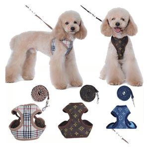 Colliers De Chien Laisses Harnais De Designer Et Ensemble Modèle Classique Animaux De Compagnie Laisse Respirant Maille Harnais Pour Animaux De Compagnie Pour Petits Chiens Caniche Schnau Dh3H1