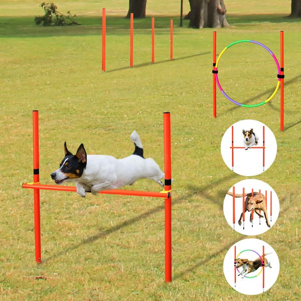 Colliers pour chiens Laisses Équipement de formation d'agilité pour chien Ensemble de formation d'obstacles pour chien portable en plein air Chiens sautant en cours d'exécution Pieu Sports Stakes Pole Fournitures 230908