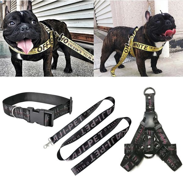 Colliers pour chiens Laisses Collier de chien et laisse ensemble mode chaîne en or collier de chien en nylon laisse longue corde collier de lettres collier Perro pour chiot Pitbull chien 231212